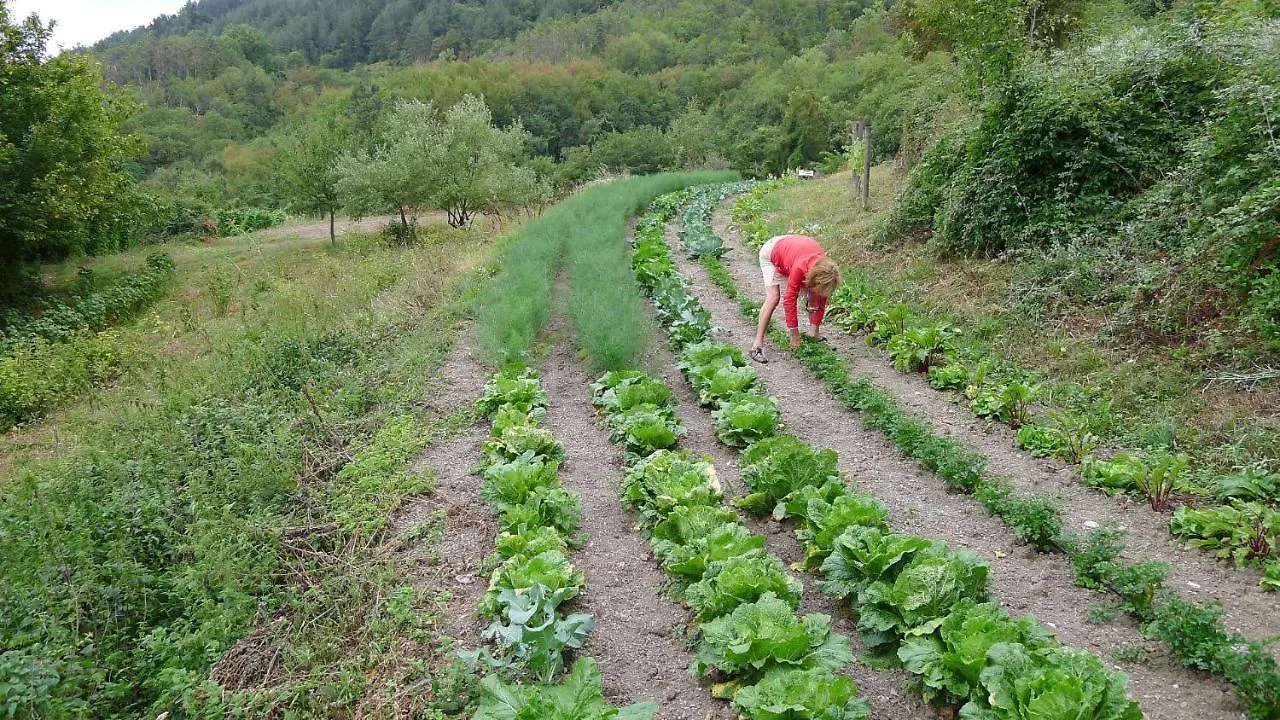 Séjour à la ferme Agriturismo Giandriale Tavarone