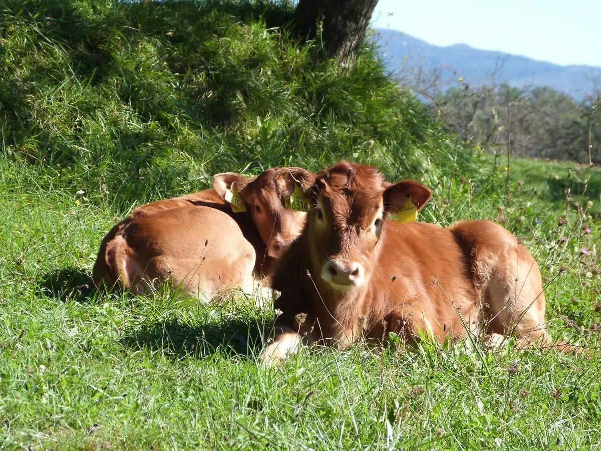 Agriturismo Giandriale Tavarone Séjour à la ferme