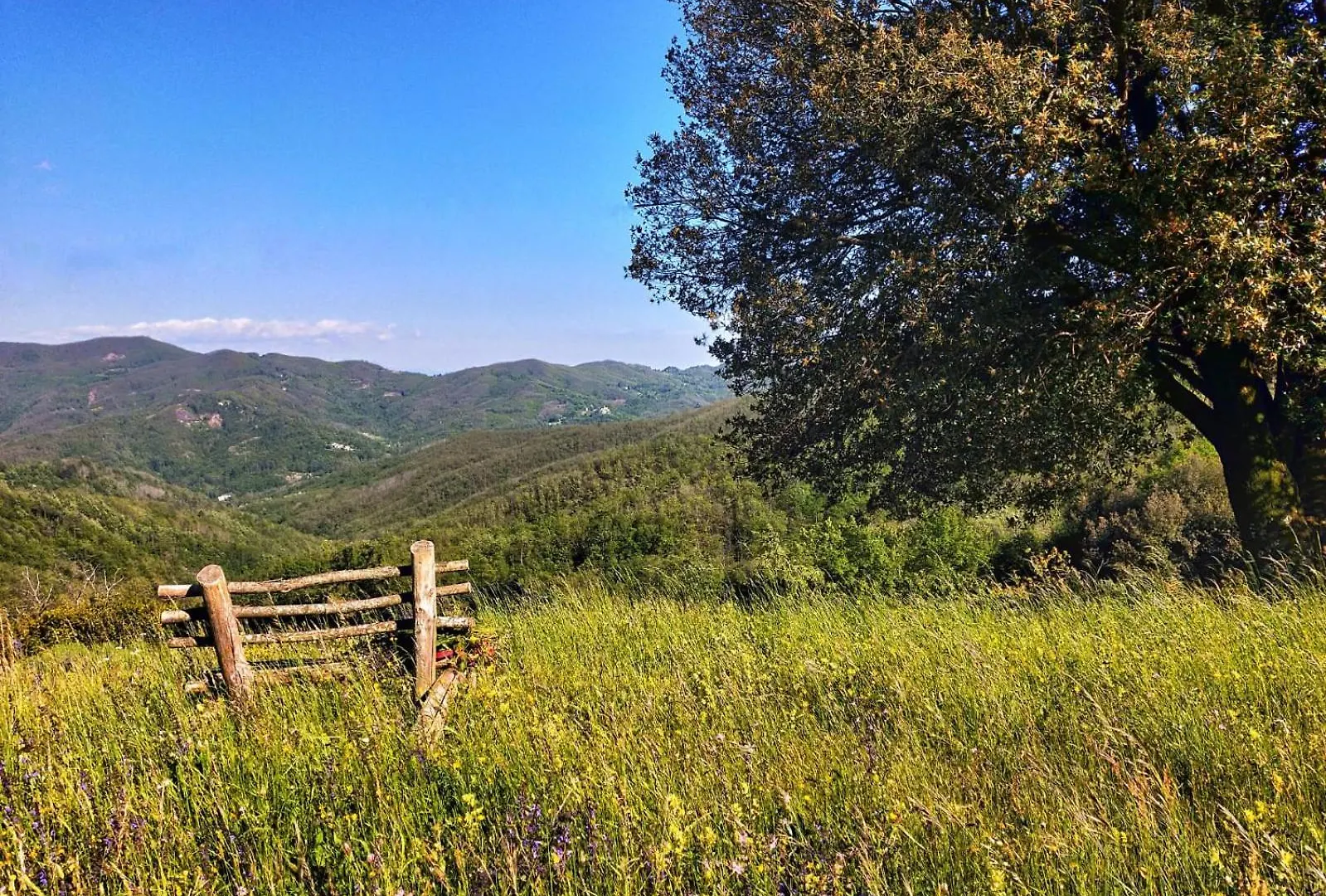 Agriturismo Giandriale Villa Tavarone Farm stay