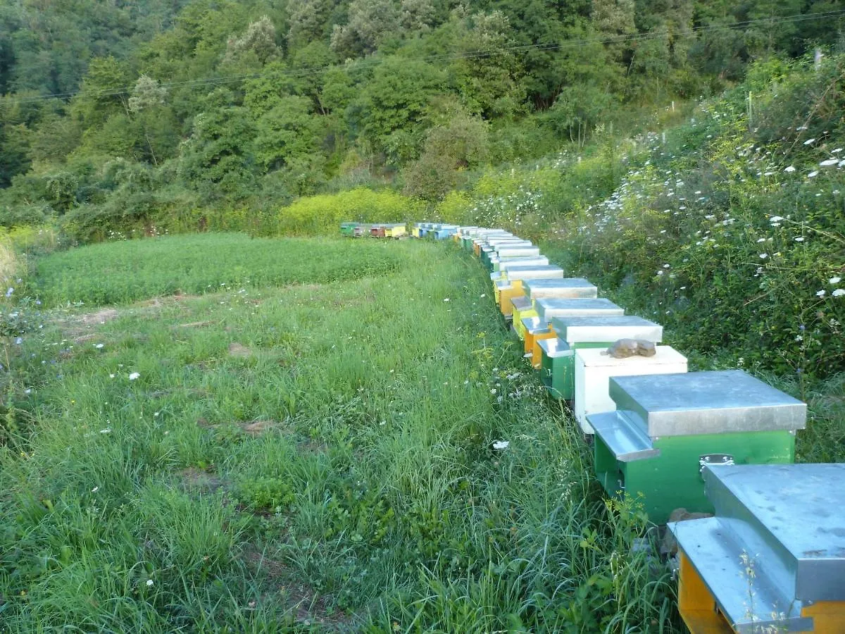 Agriturismo Giandriale Tavarone